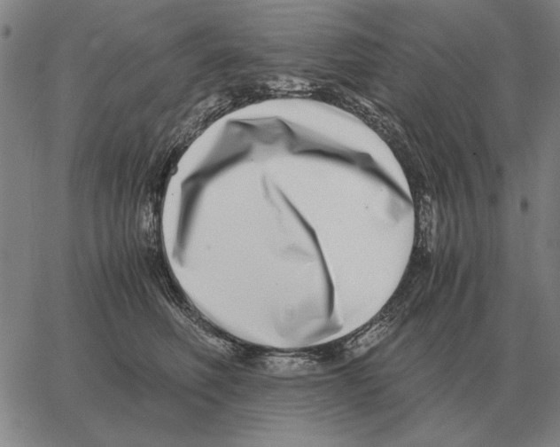 X0000062650614200601181811