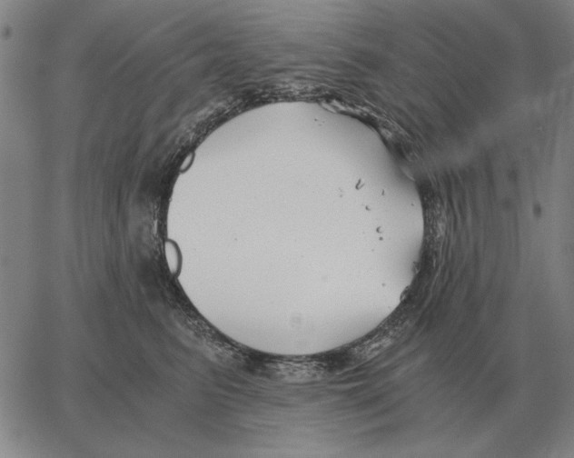 X0000062650615200601181811