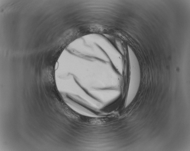 X0000062650616200601181811