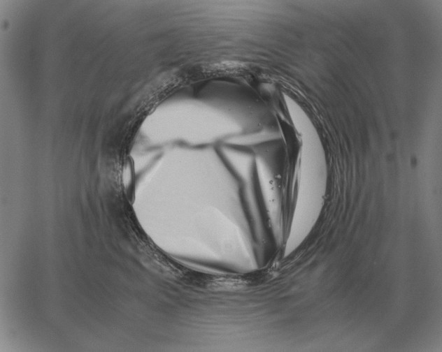 X0000062650617200601181811