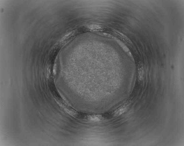 X0000062650618200601181811