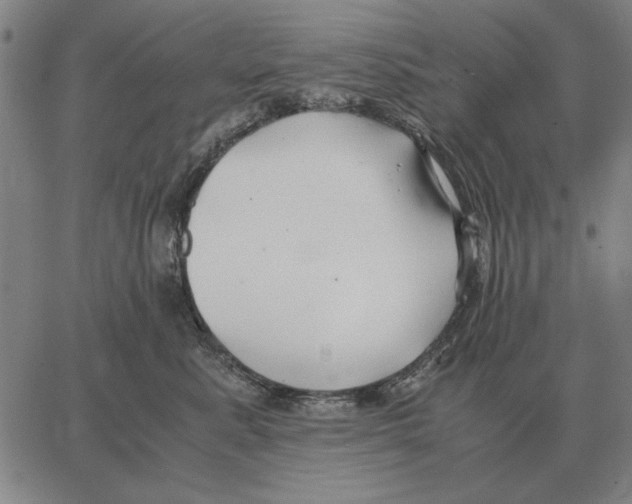 X0000062650619200601181811