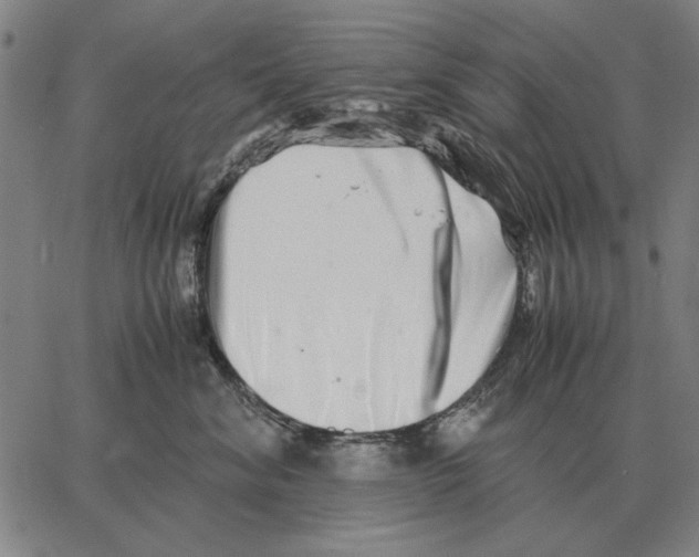 X0000062650620200601181811