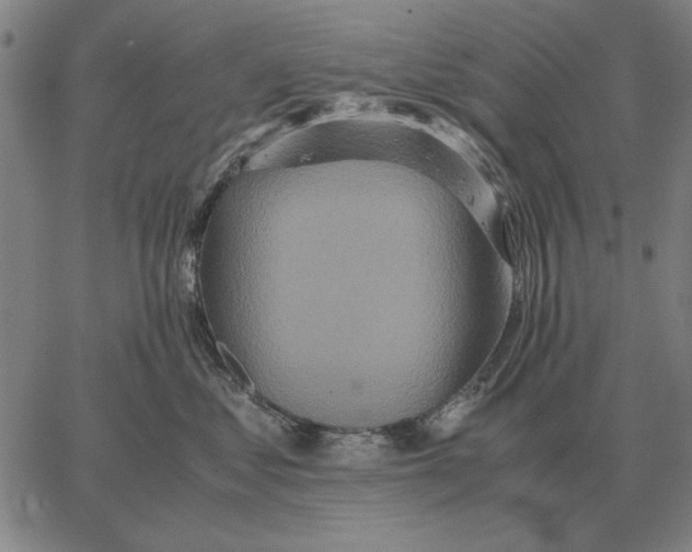 X0000062650621200601181811