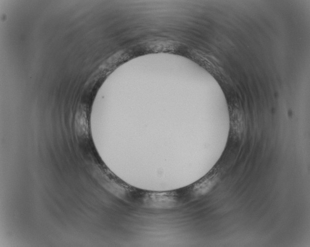 X0000062650622200601181811