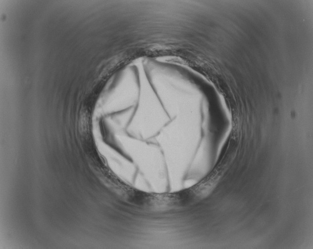 X0000062650623200601181811