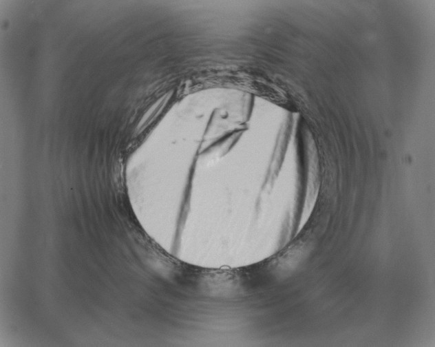 X0000062650624200601181811