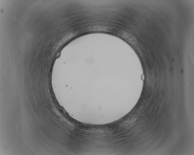 X0000062650625200601181810