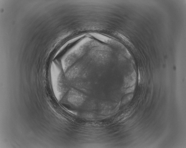 X0000062650627200601181810