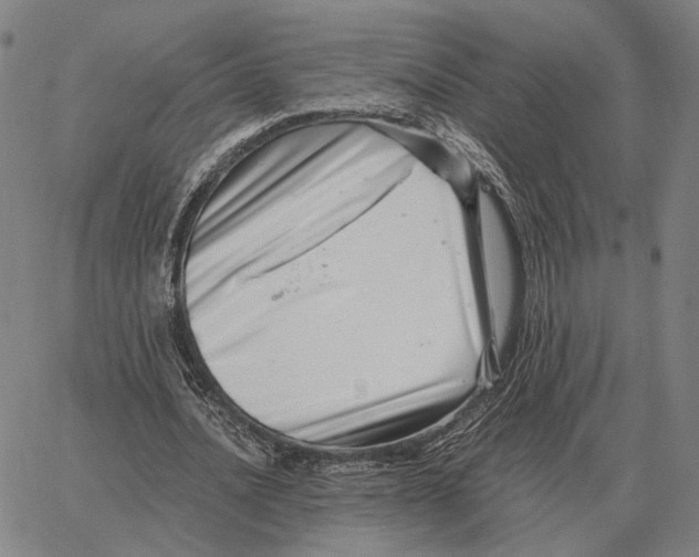 X0000062650628200601181810