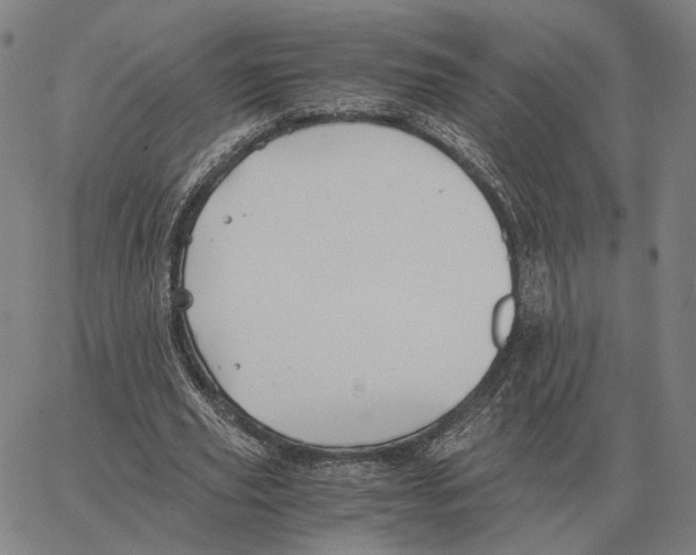 X0000062650629200601181810