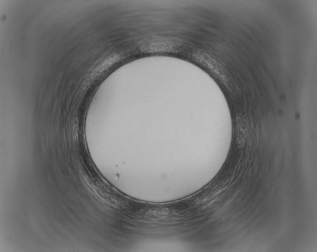 X0000062650631200601181810