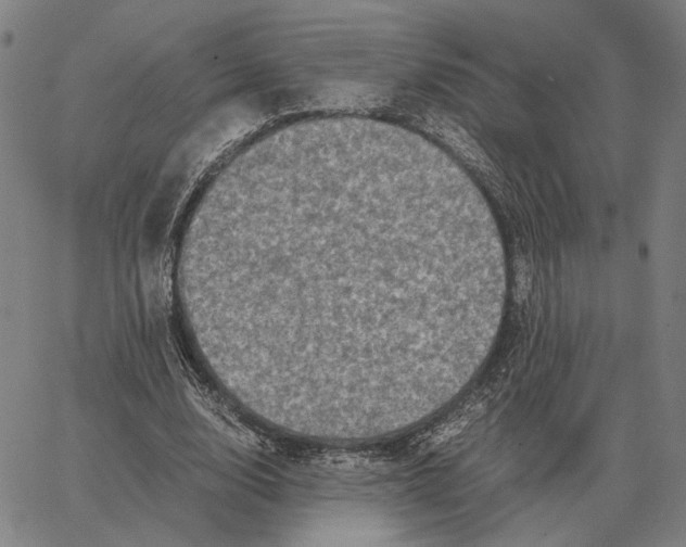 X0000062650632200601181810