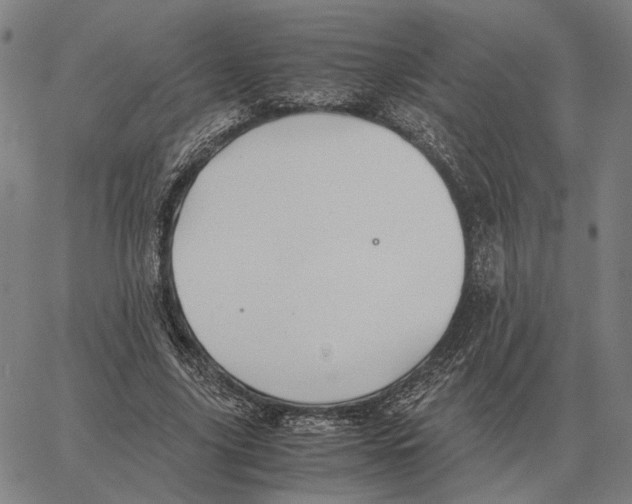 X0000062650635200601181811