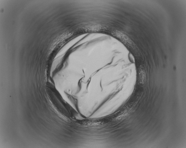 X0000062650638200601181811