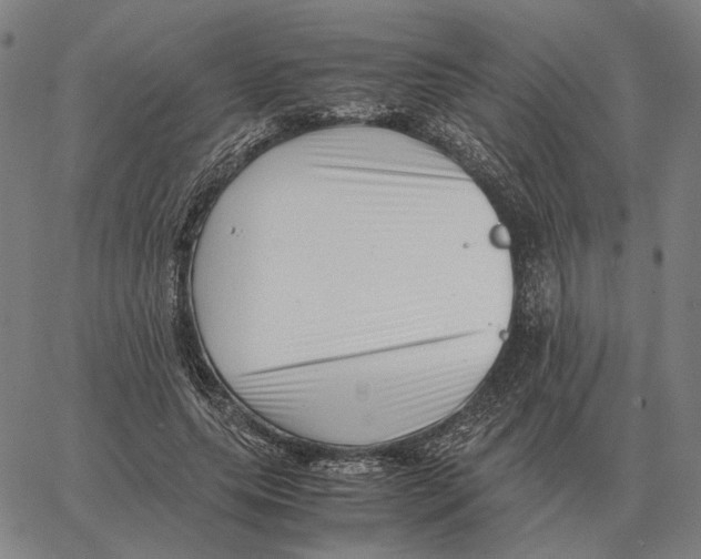 X0000062650639200601181811