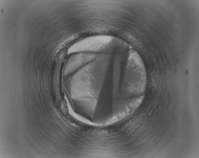 X0000062650640200601181811