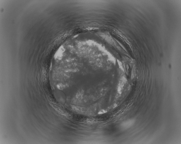 X0000062650641200601181811