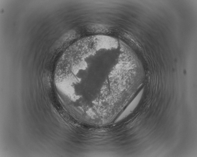 X0000062650643200601181811