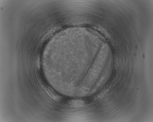 X0000062650644200601181811