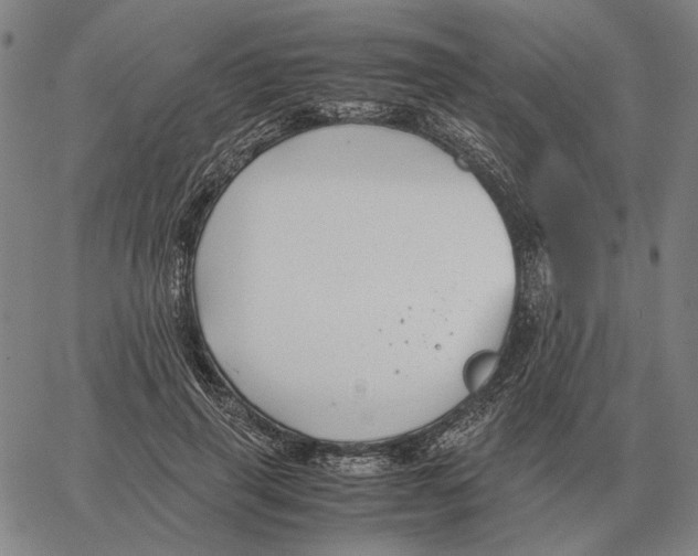 X0000062650645200601181811