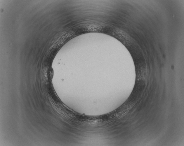 X0000062650646200601181811