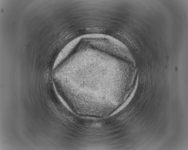 X0000062650647200601181811