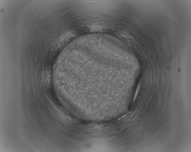 X0000062650648200601181811