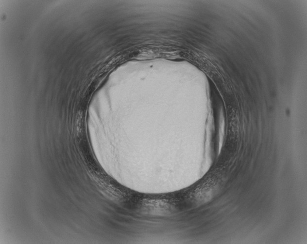 X0000062650649200601181811