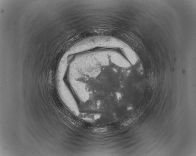 X0000062650653200601181811