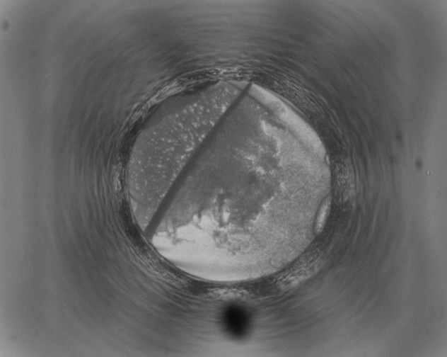 X0000062650654200601181811