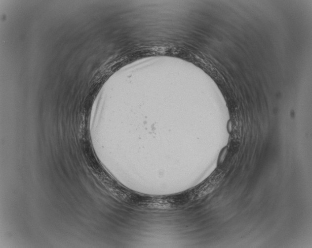 X0000062650656200601181811