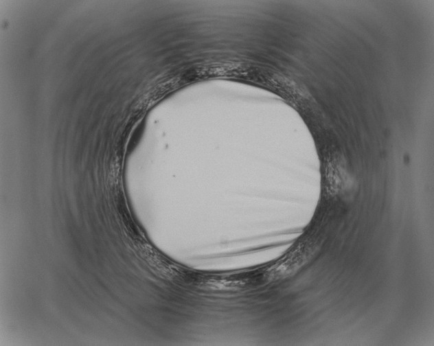 X0000062650657200601181811