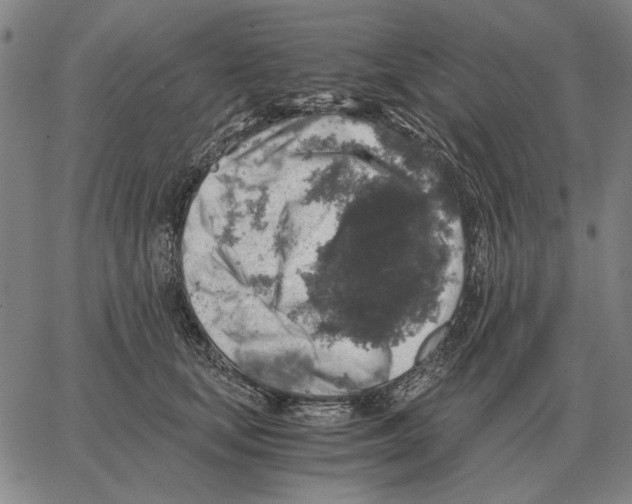 X0000062650659200601181811