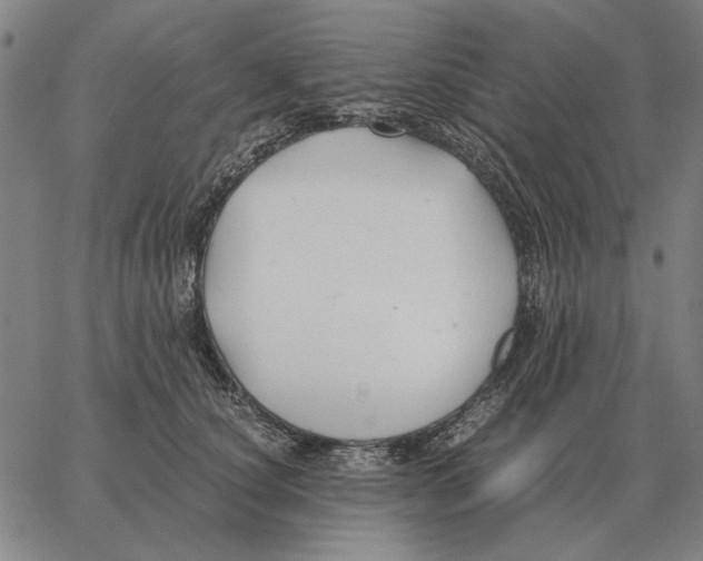 X0000062650660200601181811