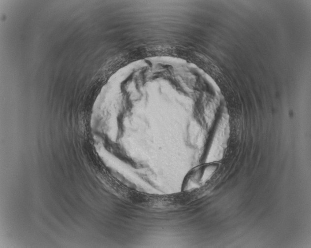 X0000062650662200601181811