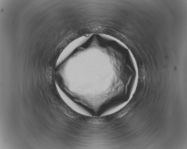 X0000062650664200601181811