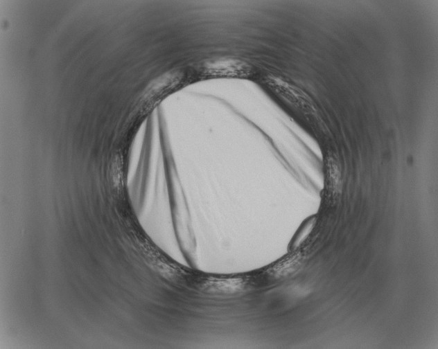 X0000062650665200601181811