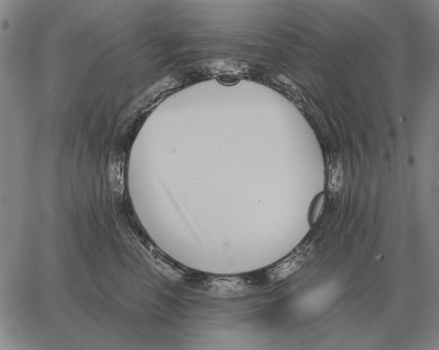 X0000062650666200601181811