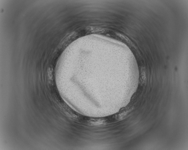 X0000062650667200601181811