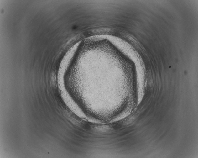 X0000062650669200601181811