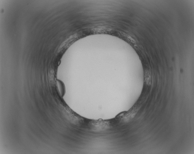 X0000062650670200601181811