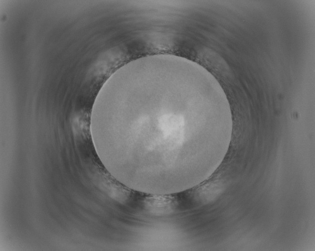 X0000062650672200601181811