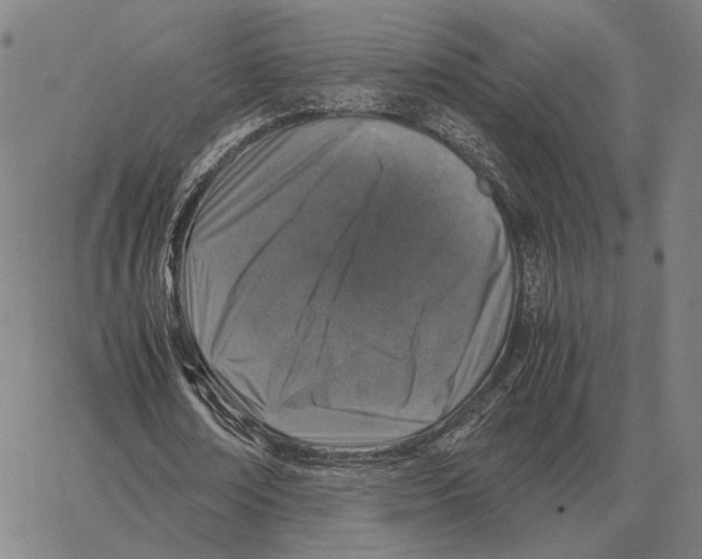 X0000062650674200601181810