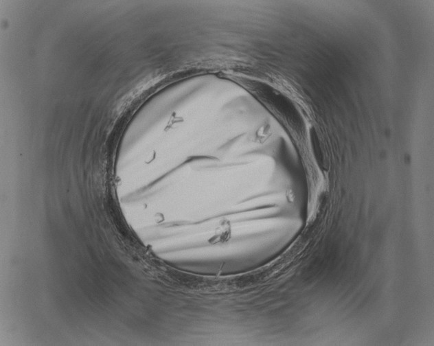 X0000062650675200601181810