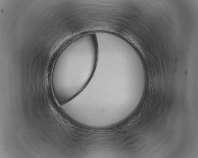 X0000062650676200601181810