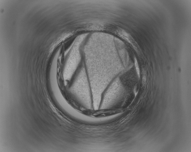 X0000062650677200601181810