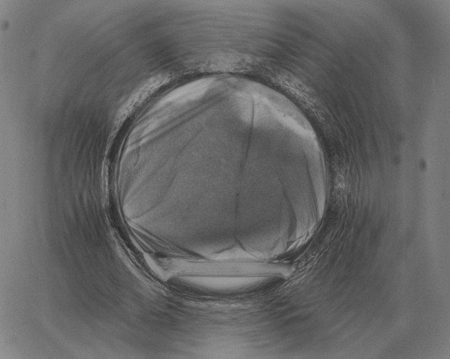 X0000062650678200601181810