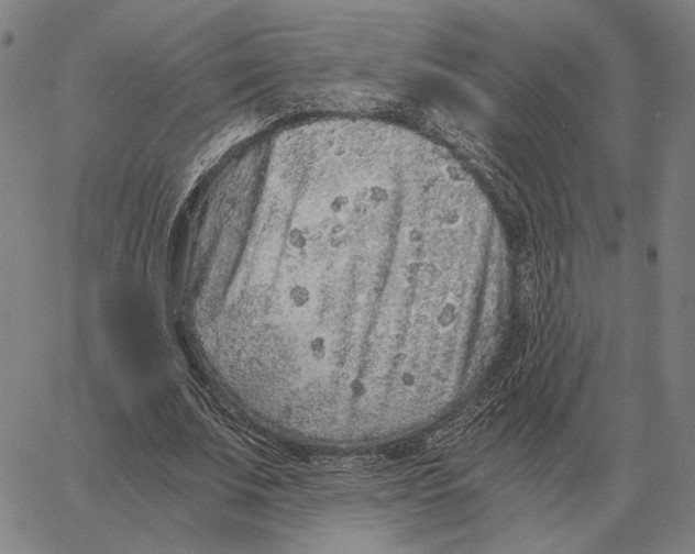 X0000062650679200601181810