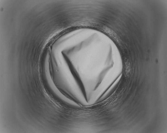 X0000062650680200601181810